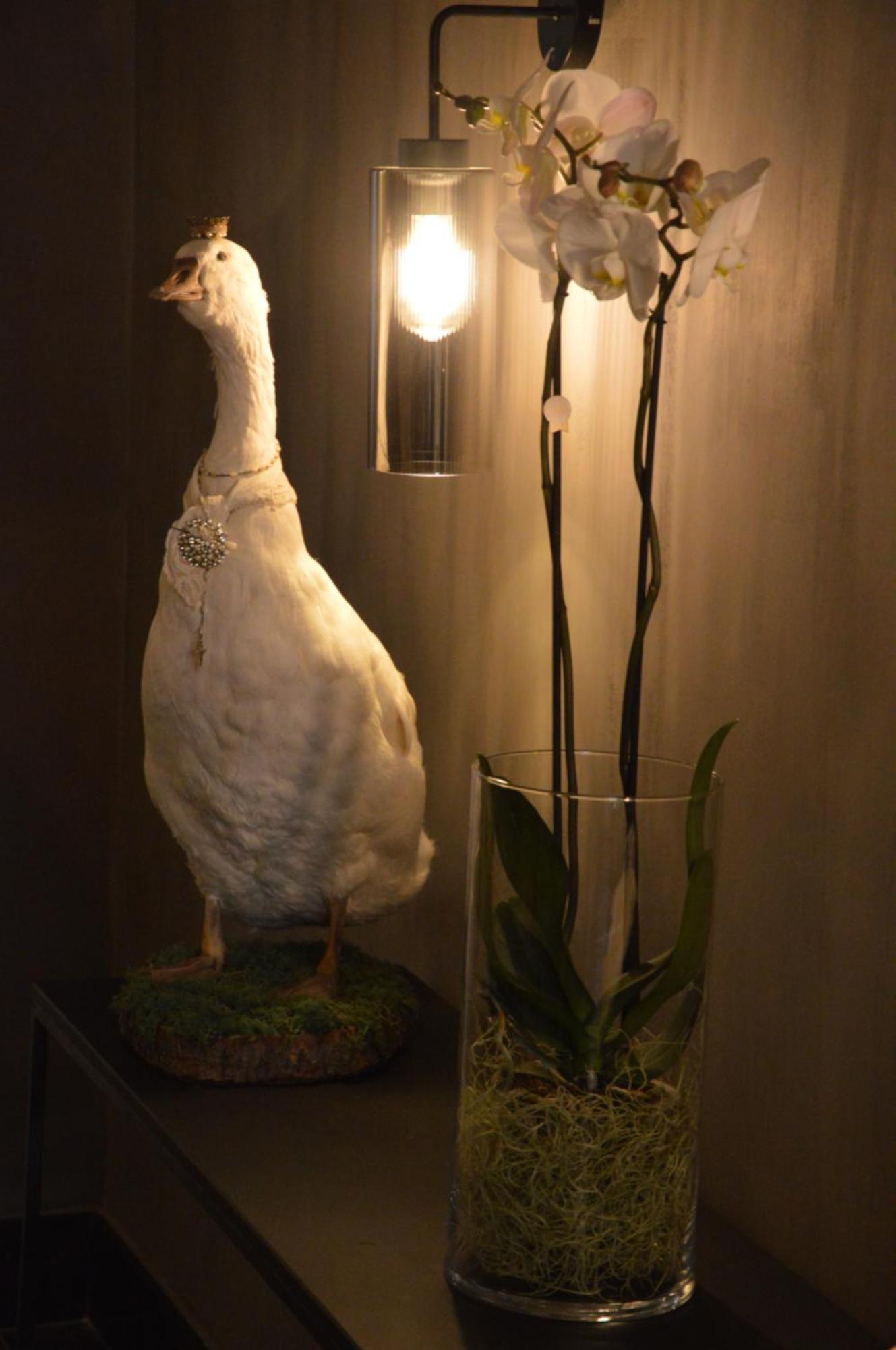 Bed and Breakfast Amato-Brugge Экстерьер фото